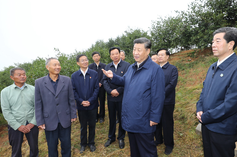 　　9月16日至18日，中共中央總書(shū)記、國(guó)家主席、中央軍委主席習(xí)近平在河南考察。這是17日上午，習(xí)近平來(lái)到信陽(yáng)市光山縣槐店鄉(xiāng)司馬光油茶園，同正在勞作的村民和管理人員交流。 新華社記者 鞠鵬 攝